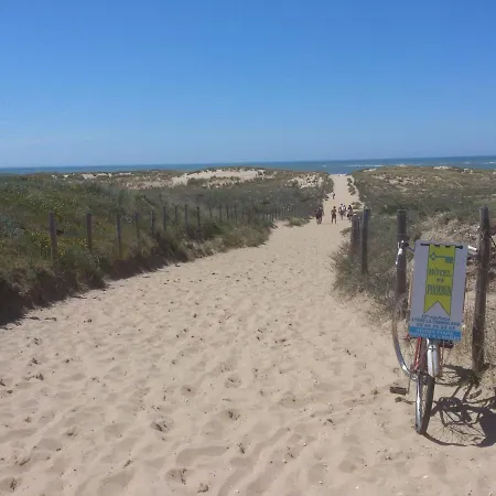 Phoebus 2* لا ترمبلاد